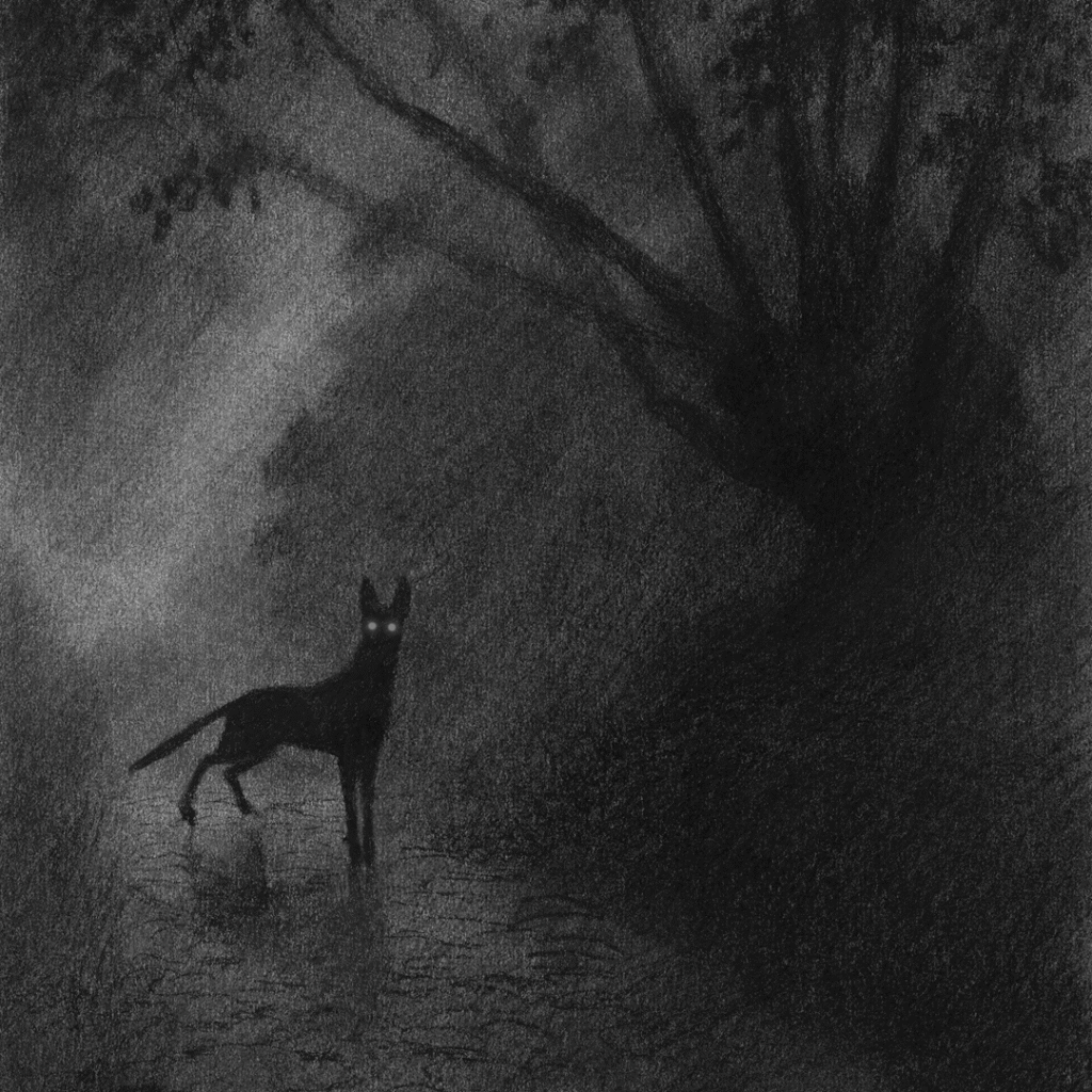 Histórias de Medo e Sombra